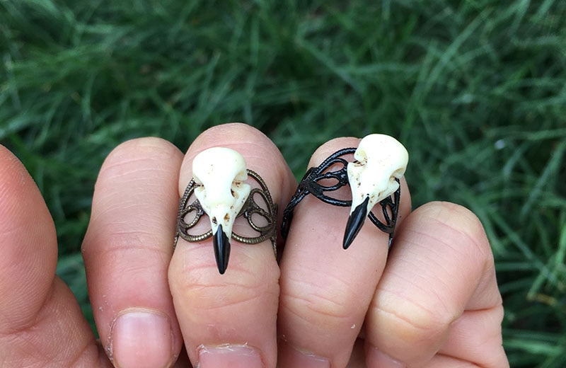 Adjustable Spooky Crow Skull Rings. Gothic Black Crow Skull Ring. Badass gothic skull ring. Badass skull ring. Badass skull jewelry. Badass skull accessories.