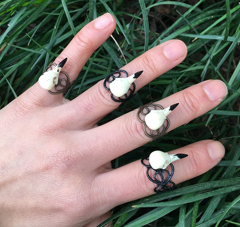 Adjustable Spooky Crow Skull Rings. Gothic Black Crow Skull Ring. Badass gothic skull ring. Badass skull ring. Badass skull jewelry. Badass skull accessories.
