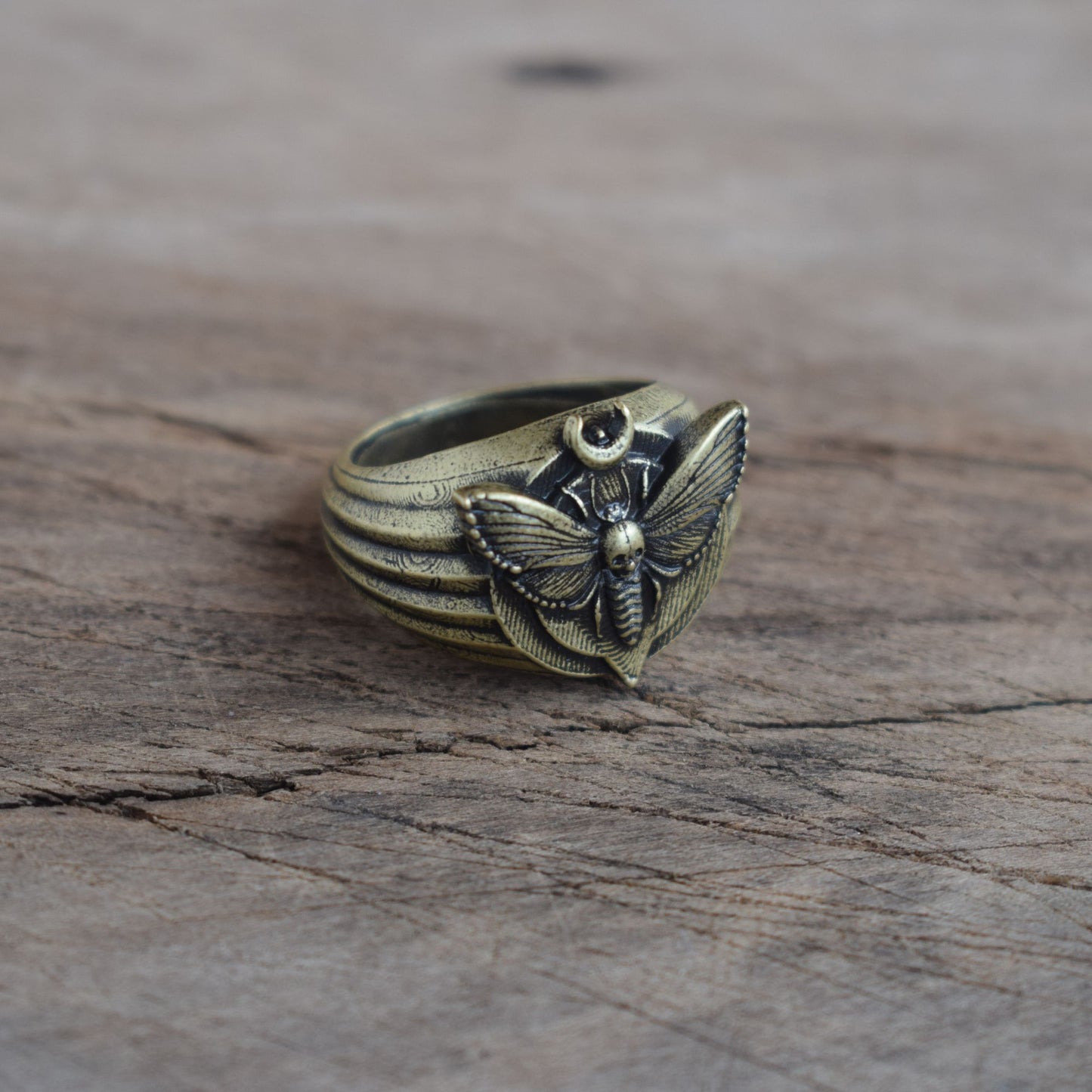 Bronze Mystical Moth Dead Head Skull Ring